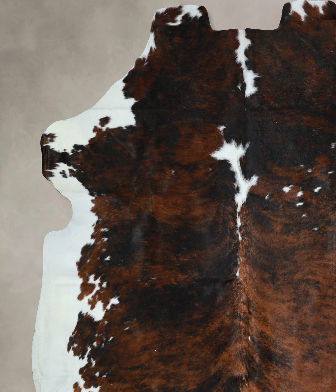 Tricolor X-Large European Cowhide Rug 7'3"H x 6'9"W #A41227 by Hudson 