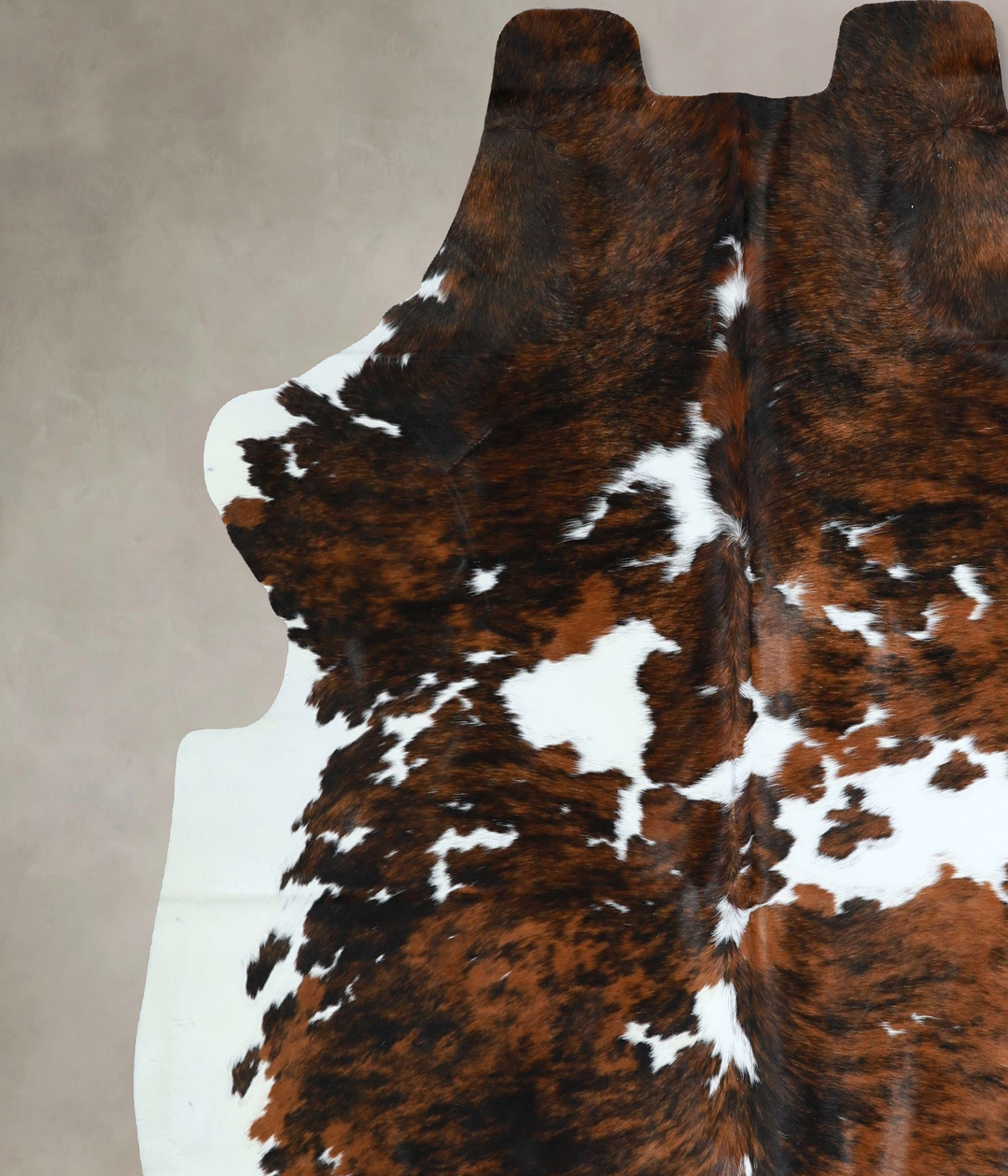 Tricolor X-Large European Cowhide Rug 7'0"H x 6'8"W #A41229 by Hudson 