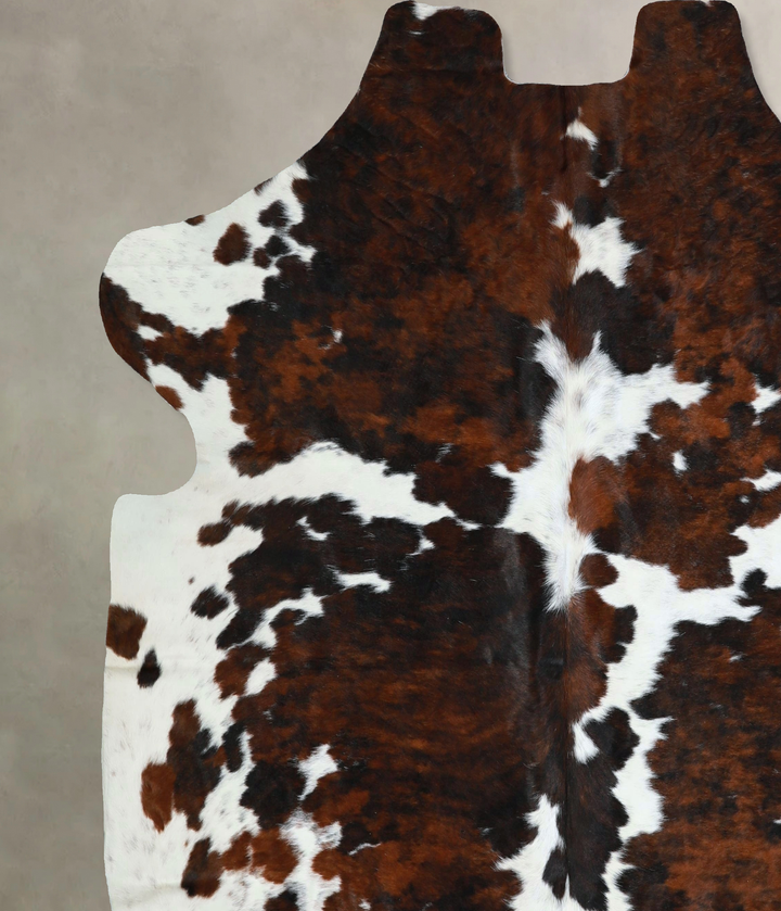 Tricolor X-Large European Cowhide Rug 7'0"H x 7'1"W #A41230 by Hudson Hides