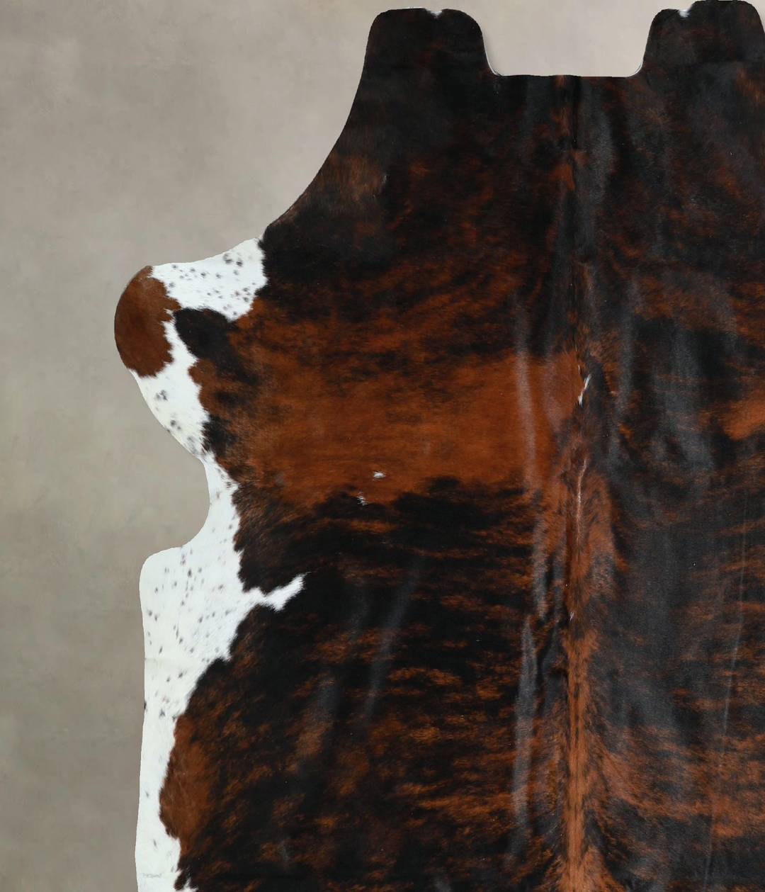 Tricolor X-Large European Cowhide Rug 6'5"H x 6'8"W #A41238 by Hudson 