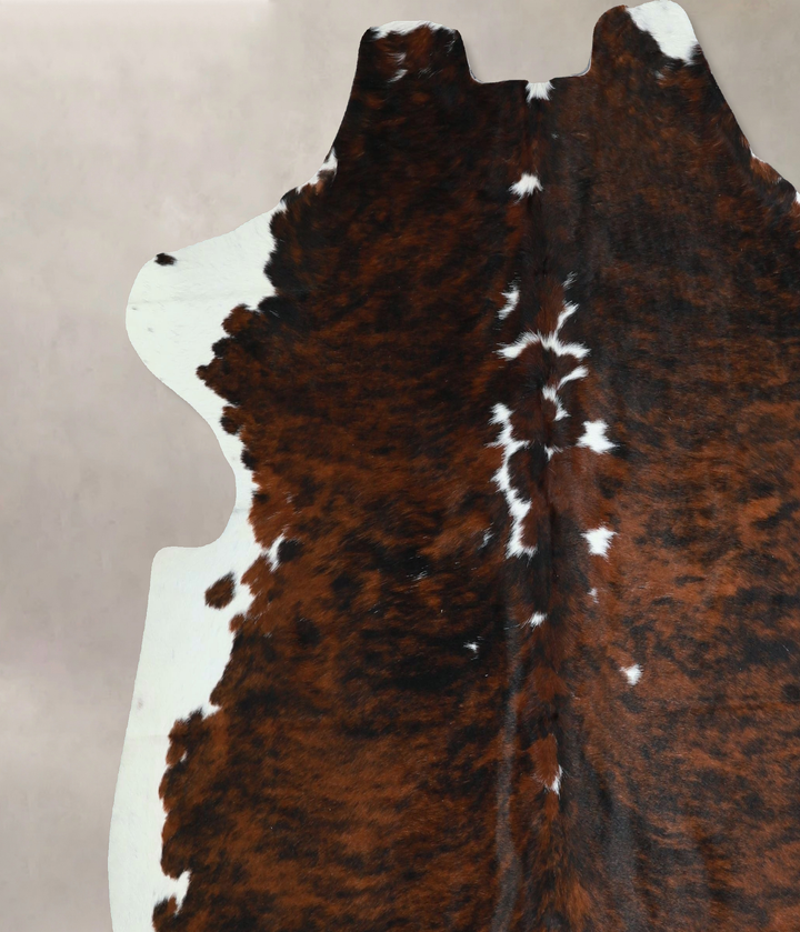 Tricolor X-Large European Cowhide Rug 6'5"H x 6'4"W #A41239 by Hudson Hides