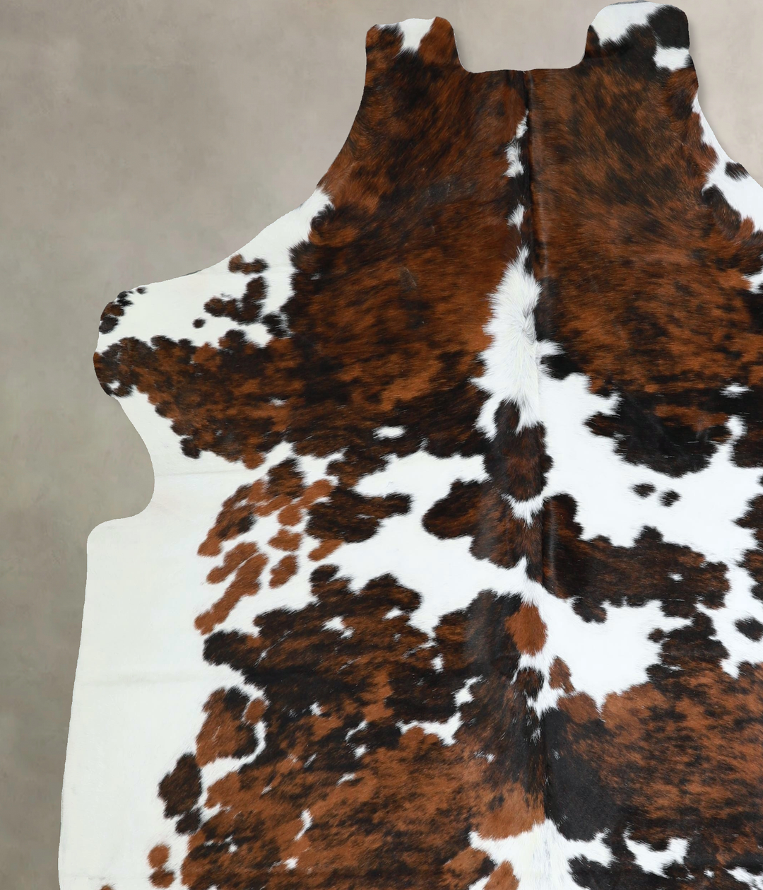 Tricolor X-Large European Cowhide Rug 7'4"H x 6'7"W #A41243 by Hudson 