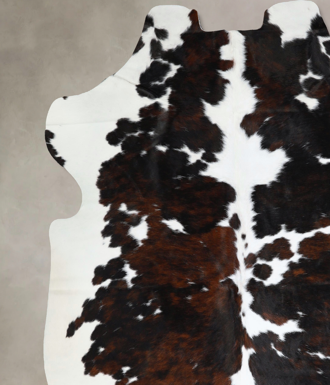 Tricolor X-Large European Cowhide Rug 7'5"H x 6'8"W #A41248 by Hudson 