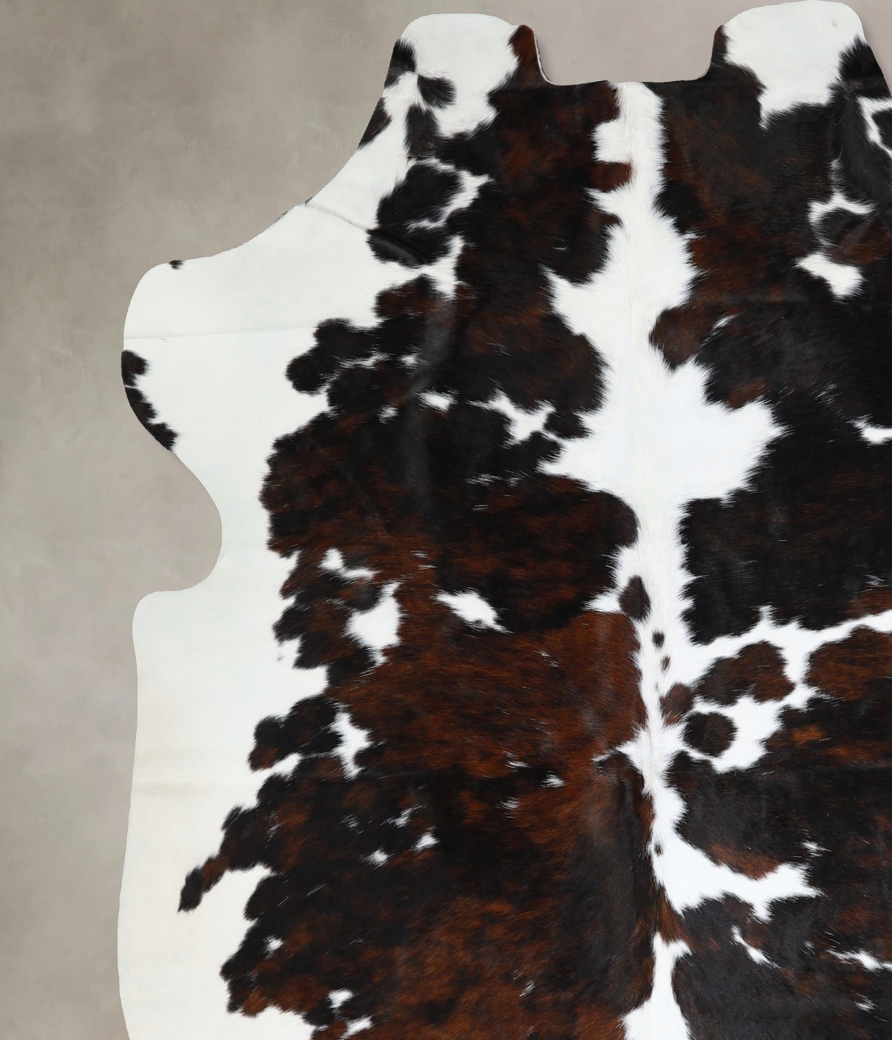 Tricolor Cowhide Rug #A41248