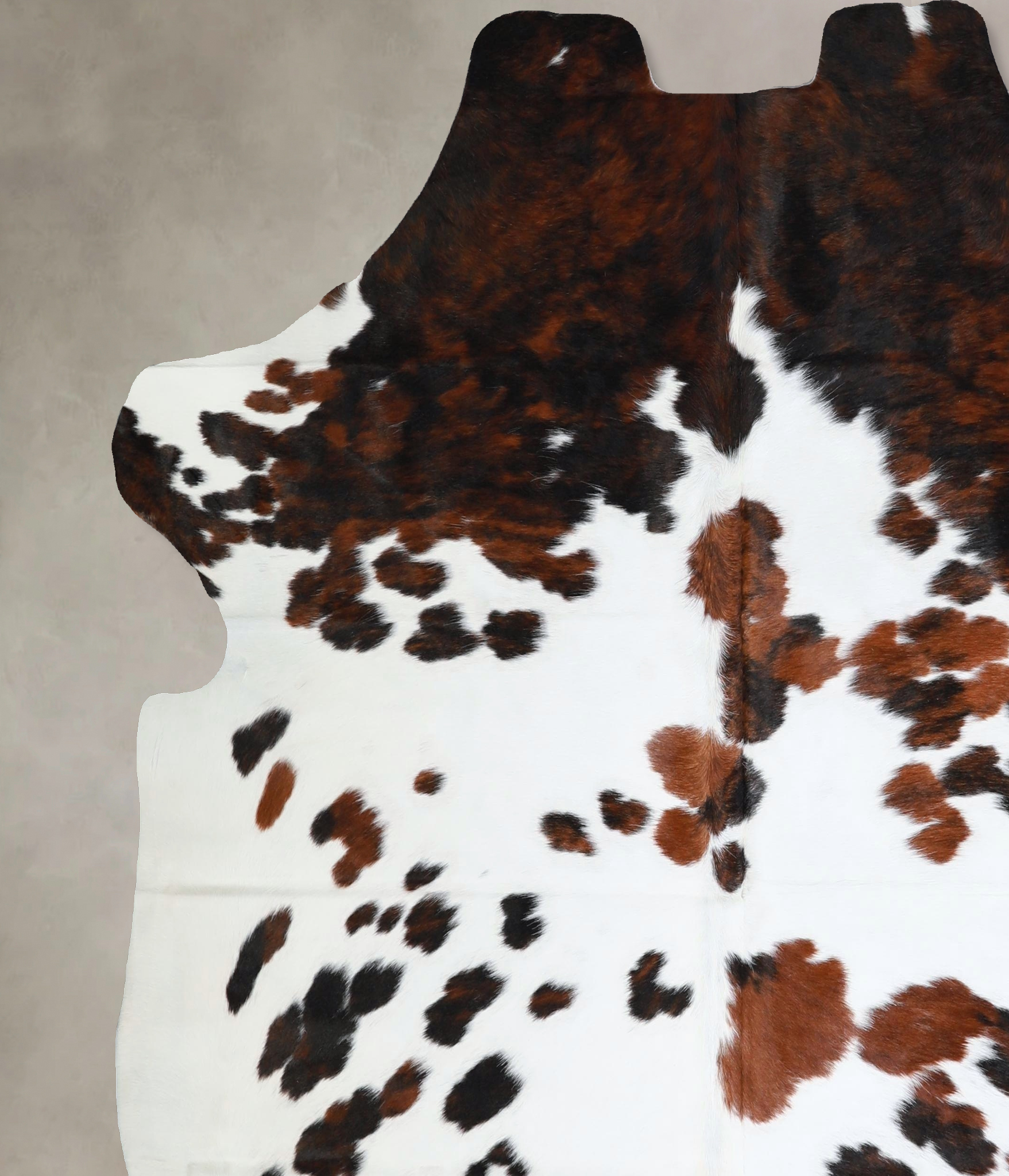 Tricolor Cowhide Rug #A41252