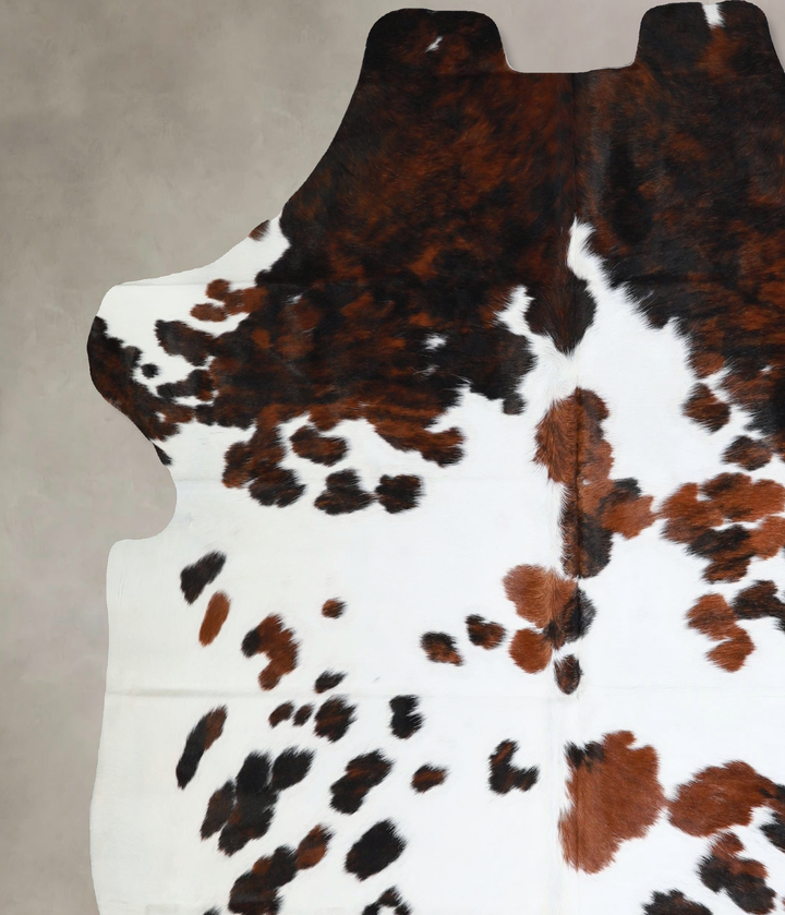 Tricolor X-Large European Cowhide Rug 6'11"H x 6'7"W #A41252 by Hudson Hides