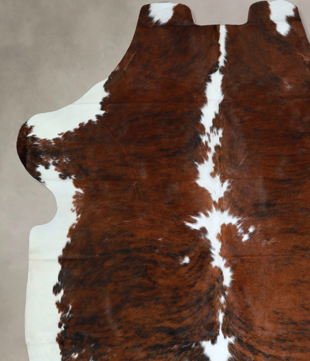 Tricolor X-Large European Cowhide Rug 7'5"H x 6'7"W #A41253 by Hudson 