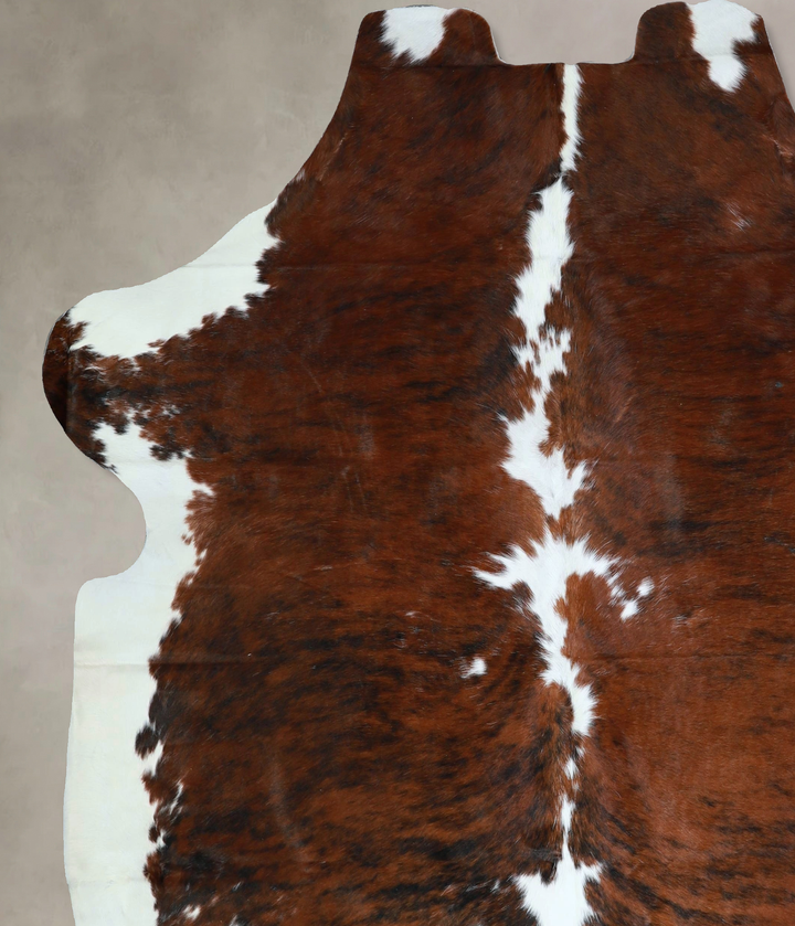 Tricolor X-Large European Cowhide Rug 7'5"H x 6'7"W #A41253 by Hudson Hides