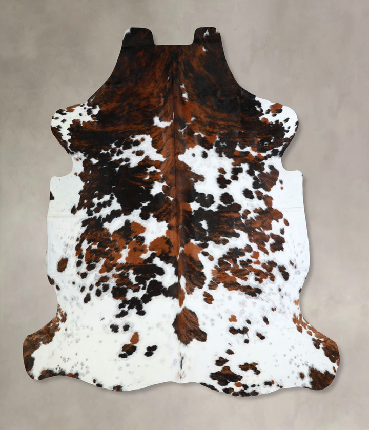 Tricolor X-Large European Cowhide Rug 7'0"H x 6'11"W #A41255 by Hudson Hides