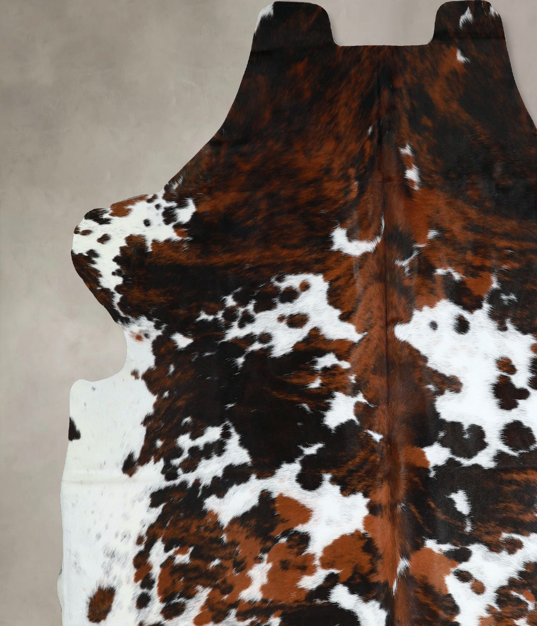 Tricolor X-Large European Cowhide Rug 7'0"H x 6'11"W #A41255 by Hudson