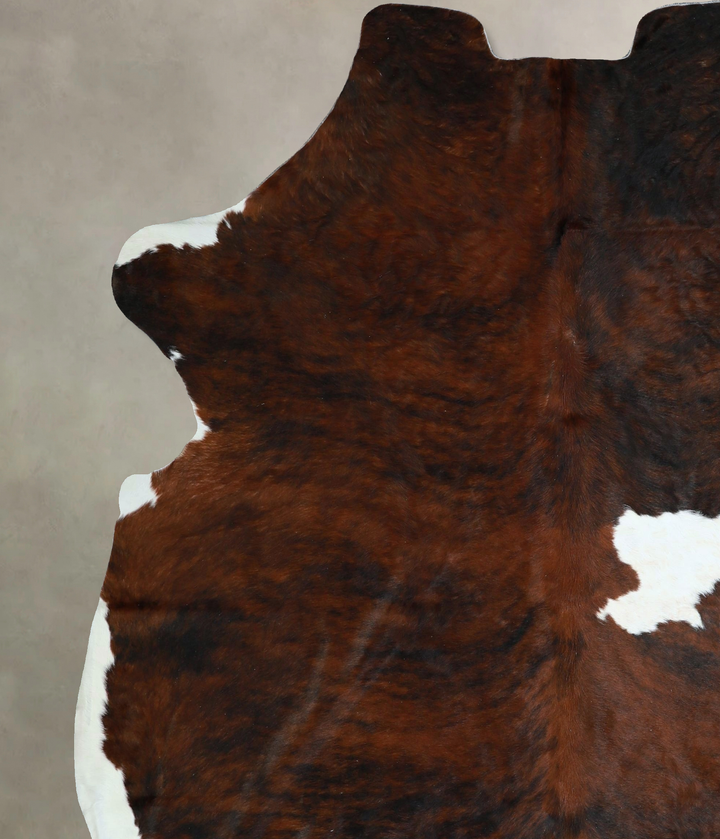 Tricolor X-Large European Cowhide Rug 7'3"H x 6'1"W #A41262 by Hudson Hides