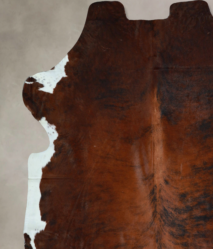 Tricolor X-Large European Cowhide Rug 7'2"H x 6'9"W #A41263 by Hudson Hides