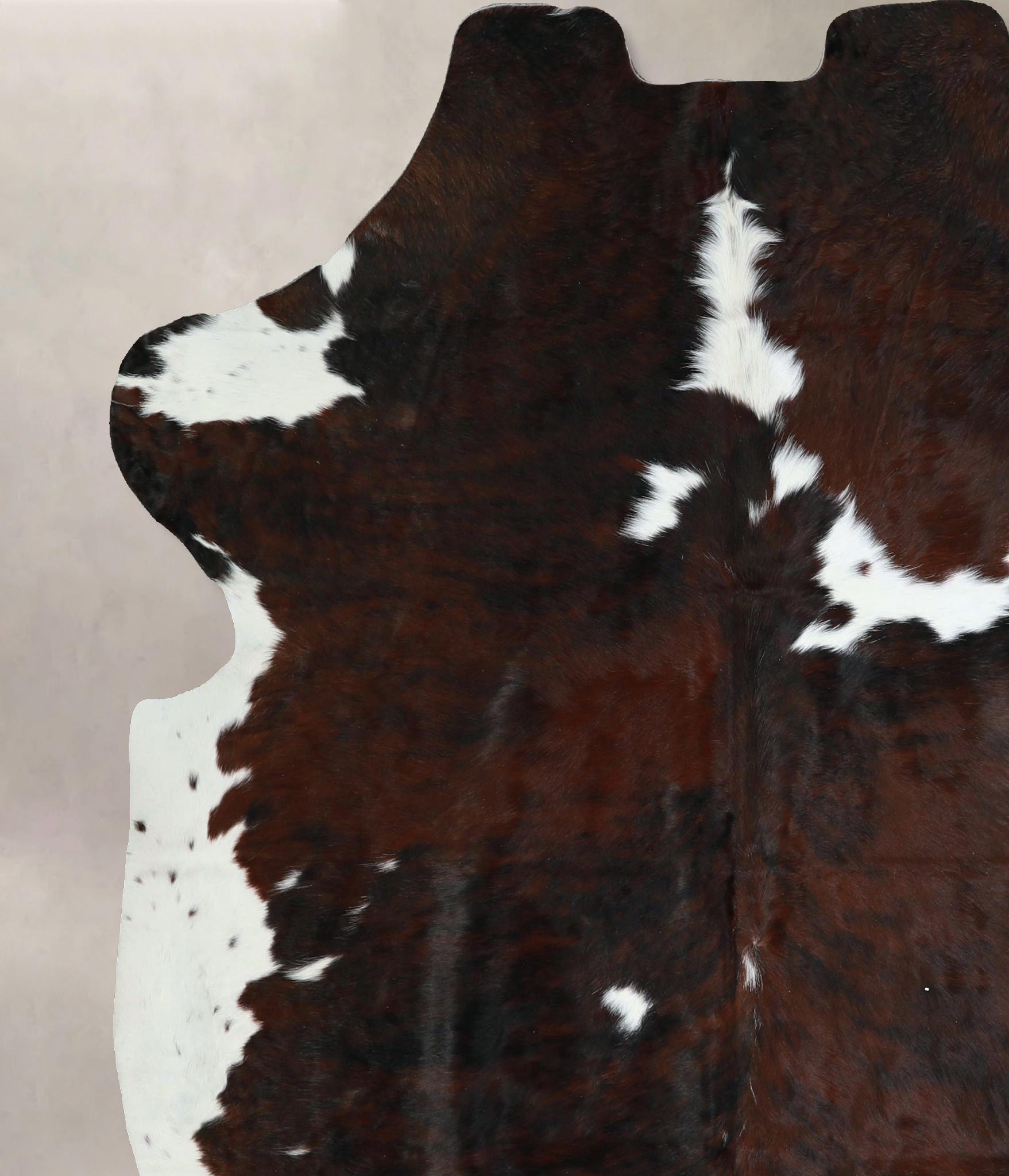Tricolor Cowhide Rug #A41264