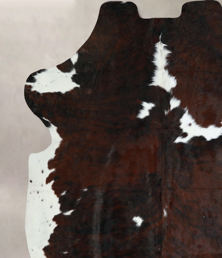 Tricolor X-Large European Cowhide Rug 7'0"H x 6'5"W #A41264 by Hudson Hides