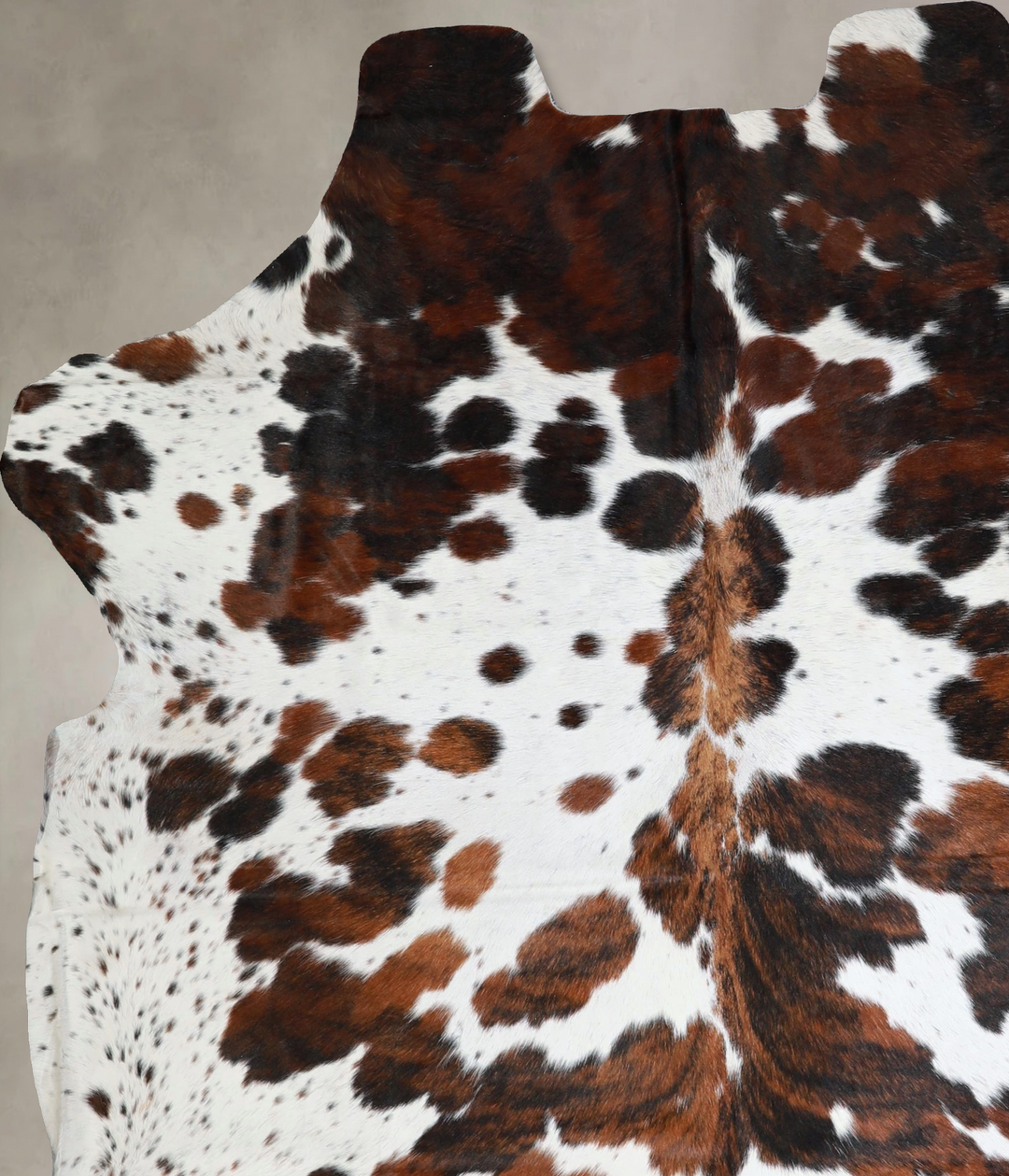 Tricolor X-Large European Cowhide Rug 7'5"H x 6'3"W #A41270 by Hudson 