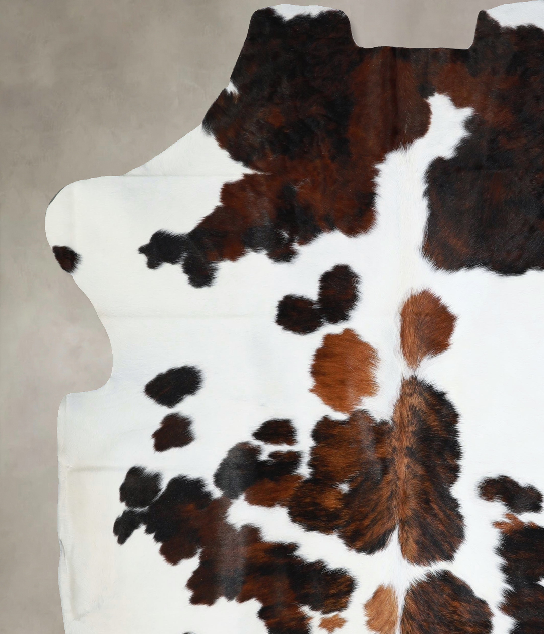 Tricolor X-Large European Cowhide Rug 7'2"H x 6'7"W #A41274 by Hudson 