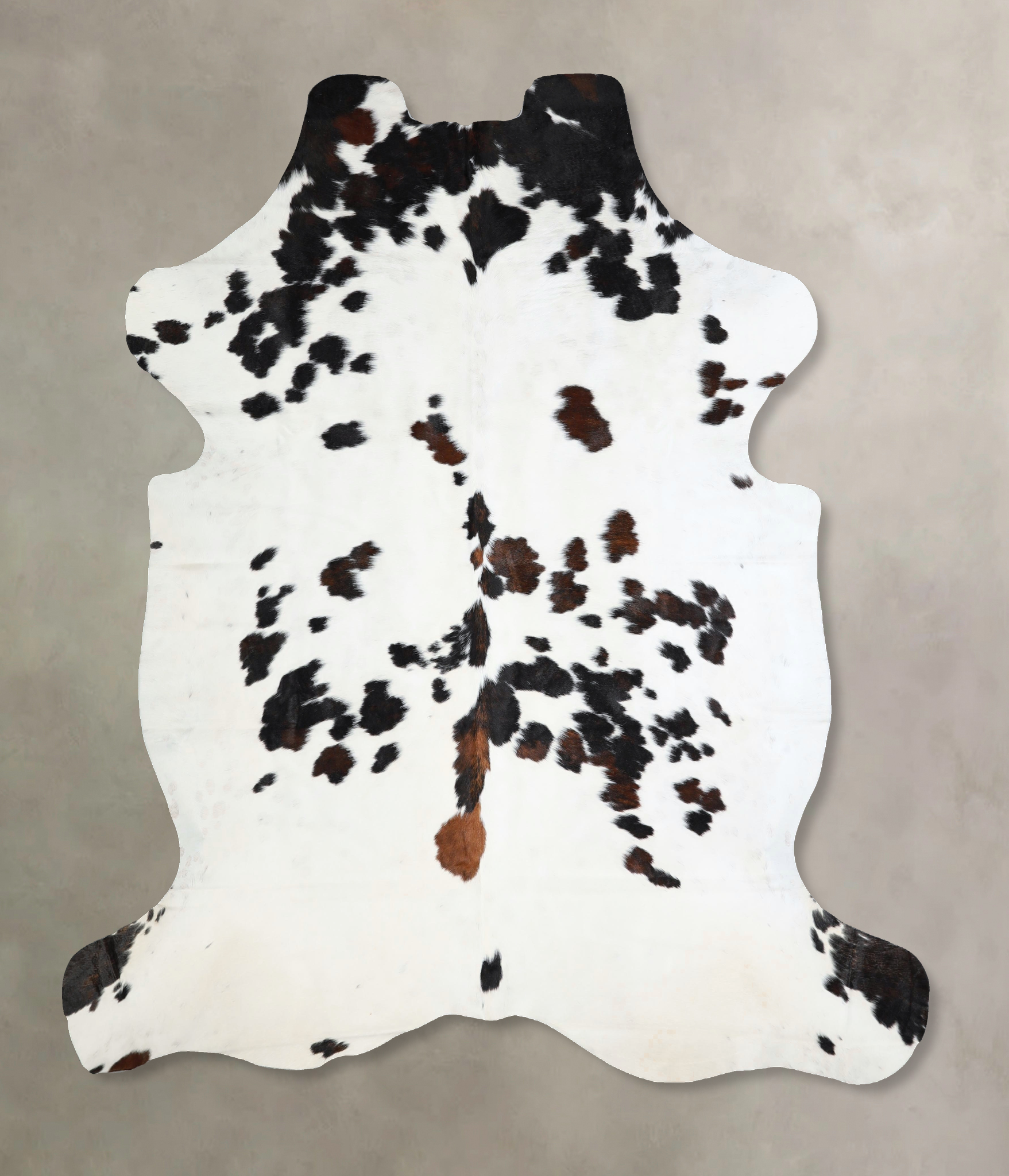 Tricolor Cowhide Rug #A41276
