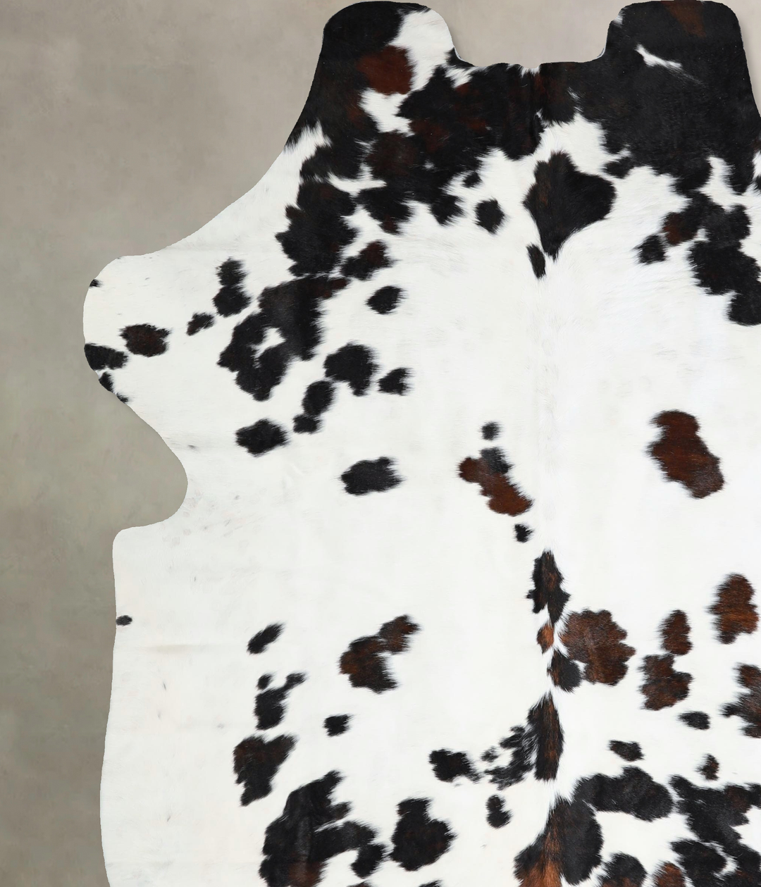 Tricolor X-Large European Cowhide Rug 7'1"H x 6'4"W #A41276 by Hudson 