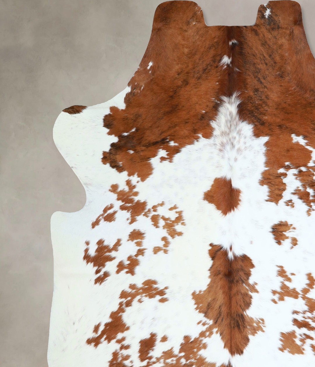 Tricolor XX-Large European Cowhide Rug 7'3"H x 6'11"W #A41277 by Hudso