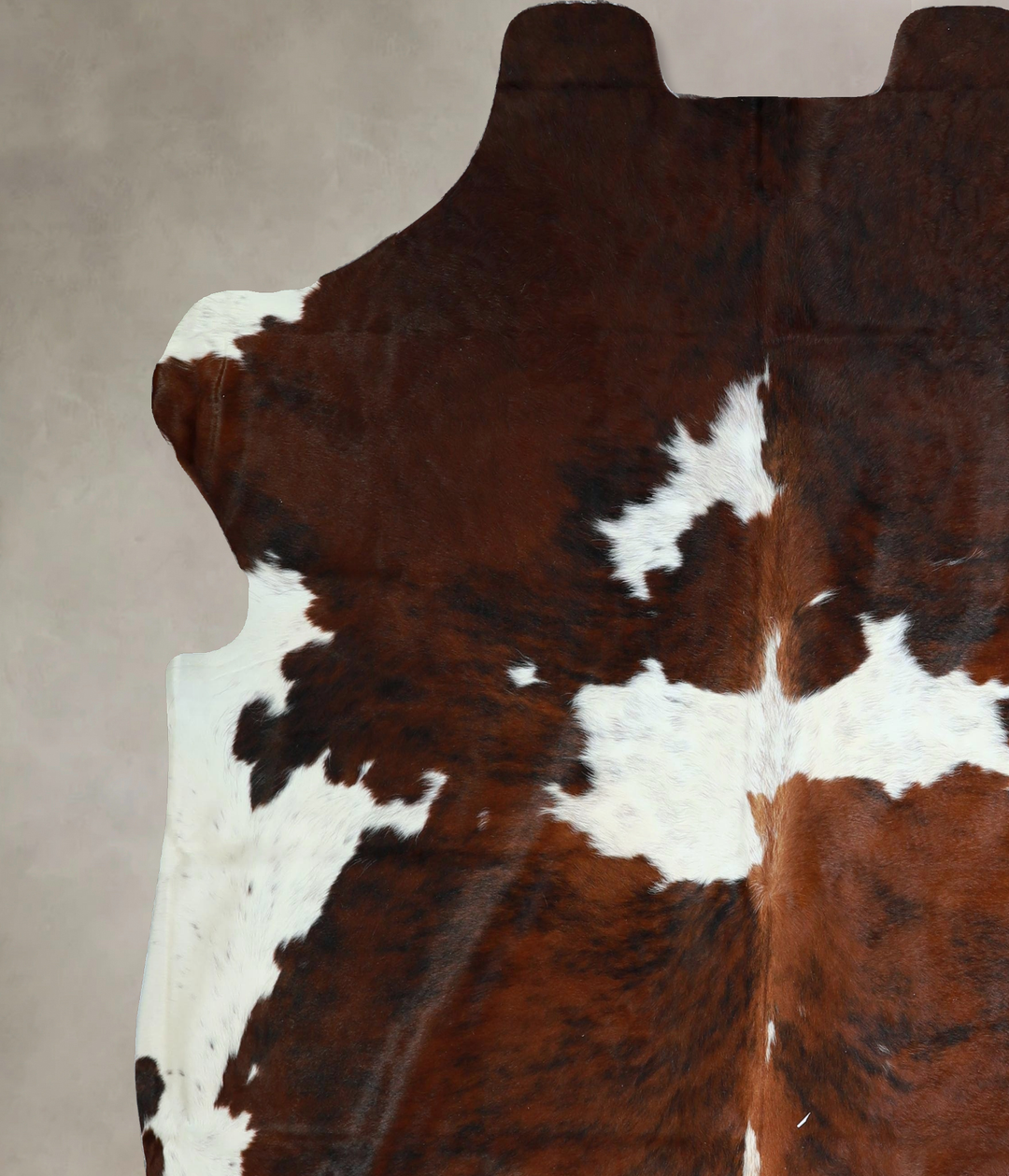 Tricolor X-Large European Cowhide Rug 7'2"H x 6'11"W #A41278 by Hudson