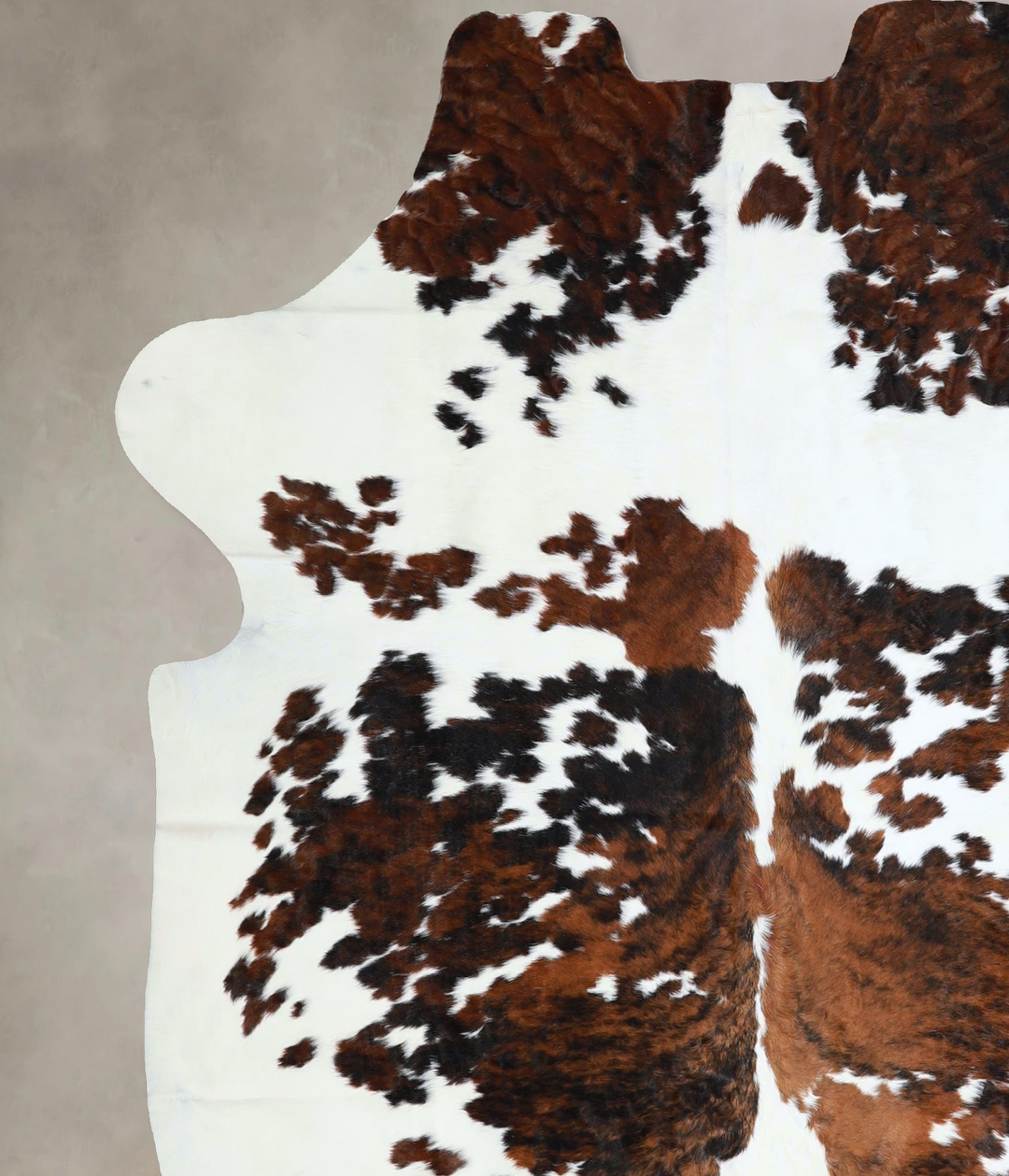 Tricolor X-Large European Cowhide Rug 7'4"H x 6'6"W #A41280 by Hudson 