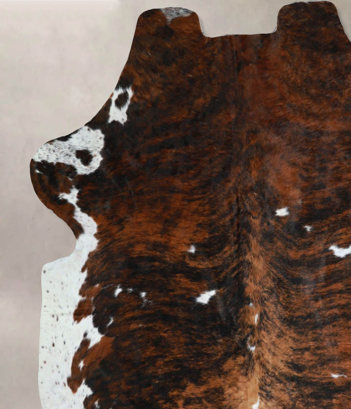 Tricolor X-Large European Cowhide Rug 7'2"H x 6'7"W #A41282 by Hudson Hides