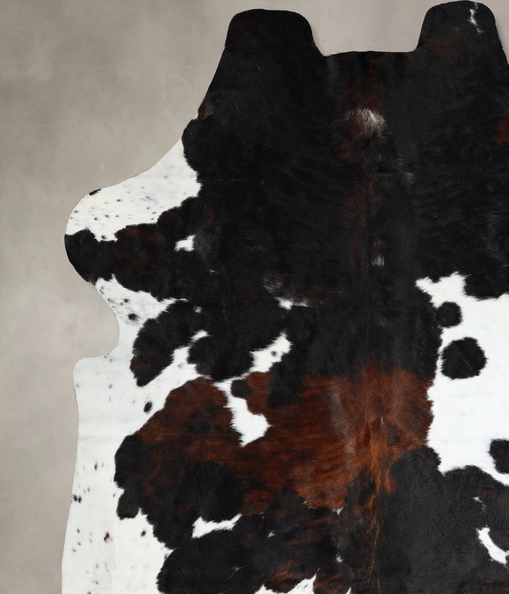 Tricolor X-Large European Cowhide Rug 7'2"H x 6'8"W #A41283 by Hudson Hides
