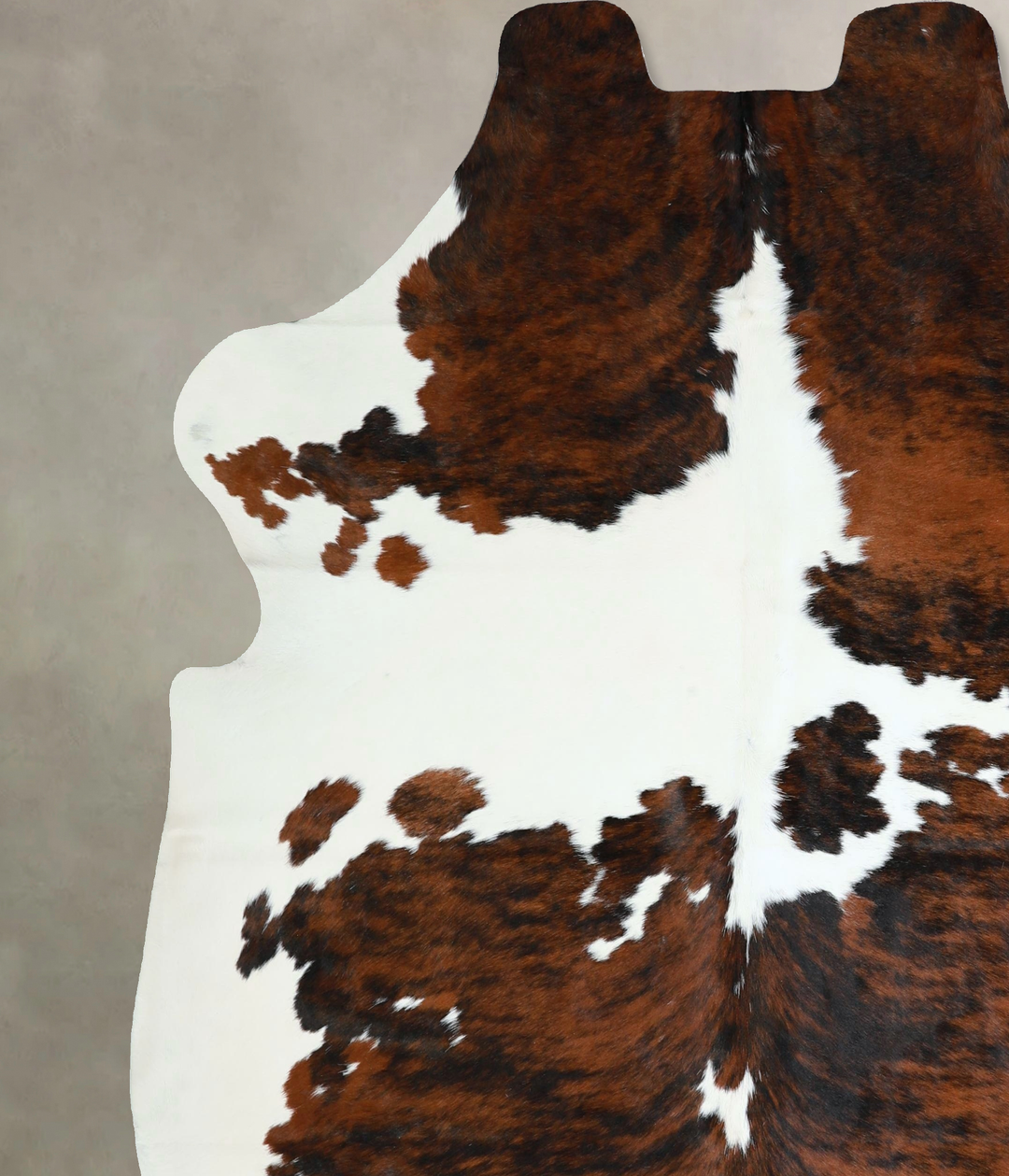 Tricolor X-Large European Cowhide Rug 7'2"H x 6'8"W #A41284 by Hudson 