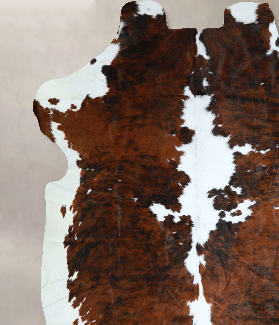 Tricolor X-Large European Cowhide Rug 6'10"H x 6'8"W #A41286 by Hudson