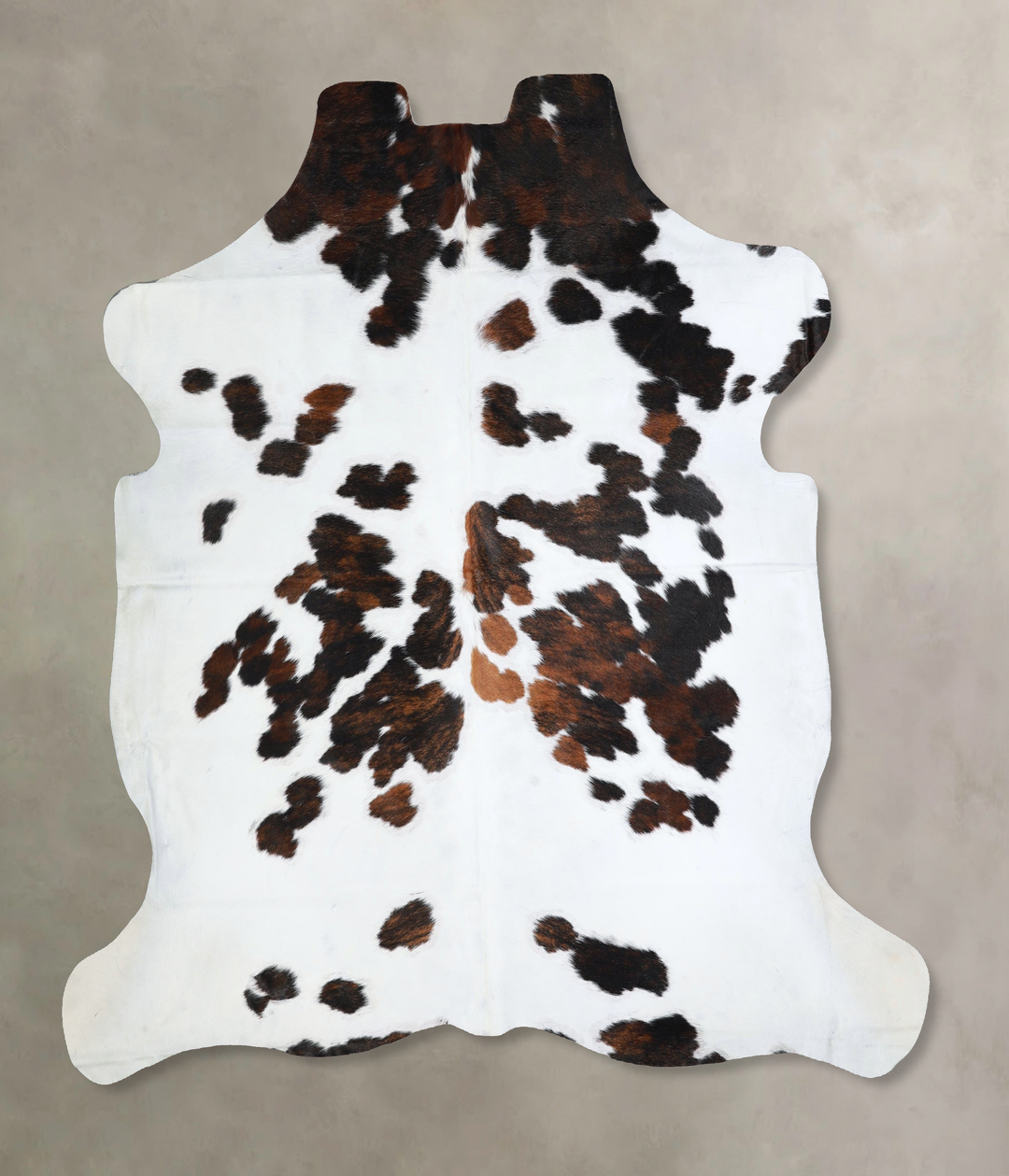 Tricolor X-Large European Cowhide Rug 7'0"H x 6'10"W #A41288 by Hudson