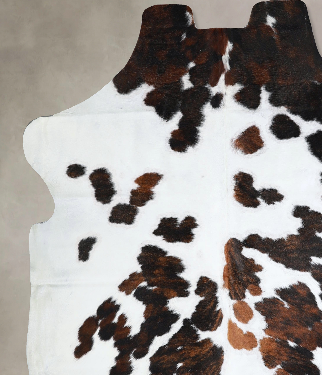 Tricolor X-Large European Cowhide Rug 7'0"H x 6'10"W #A41288 by Hudson