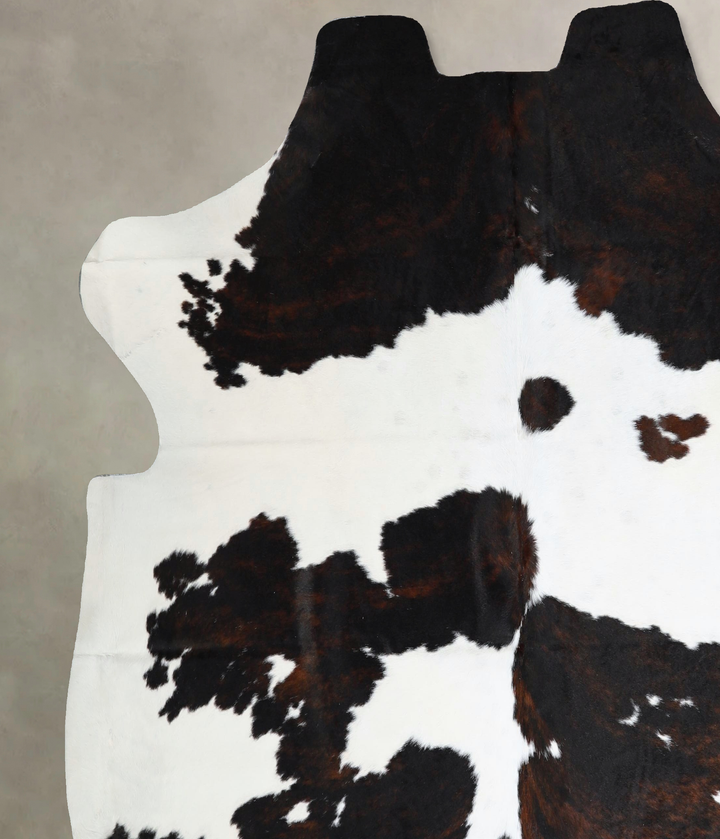 Tricolor X-Large European Cowhide Rug 6'8"H x 6'10"W #A41289 by Hudson Hides