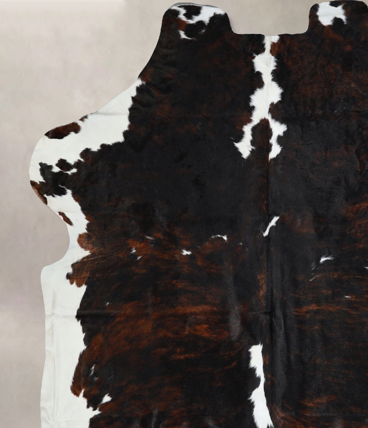 Tricolor X-Large European Cowhide Rug 7'0"H x 6'8"W #A41290 by Hudson Hides