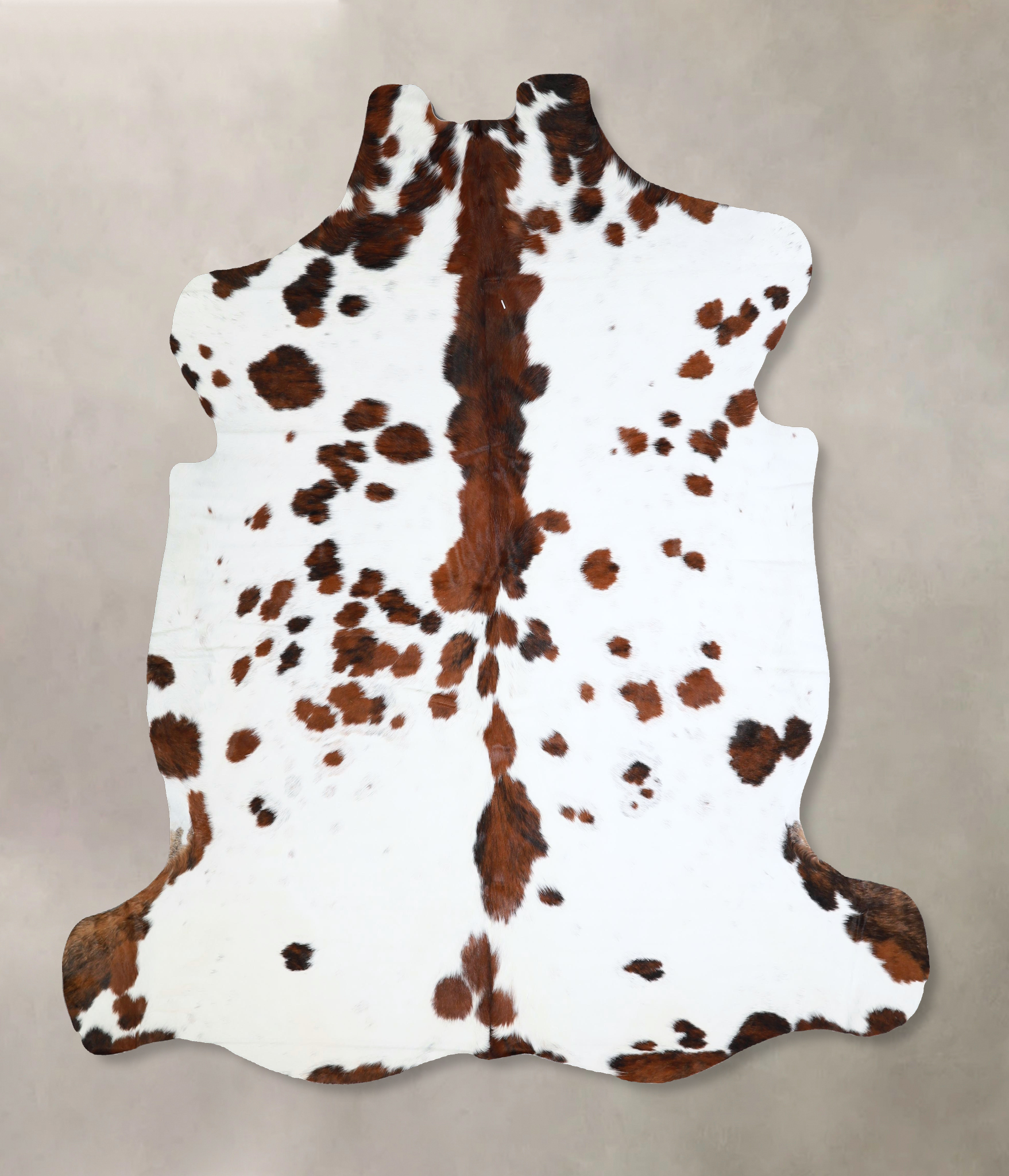 Tricolor Cowhide Rug #A41296