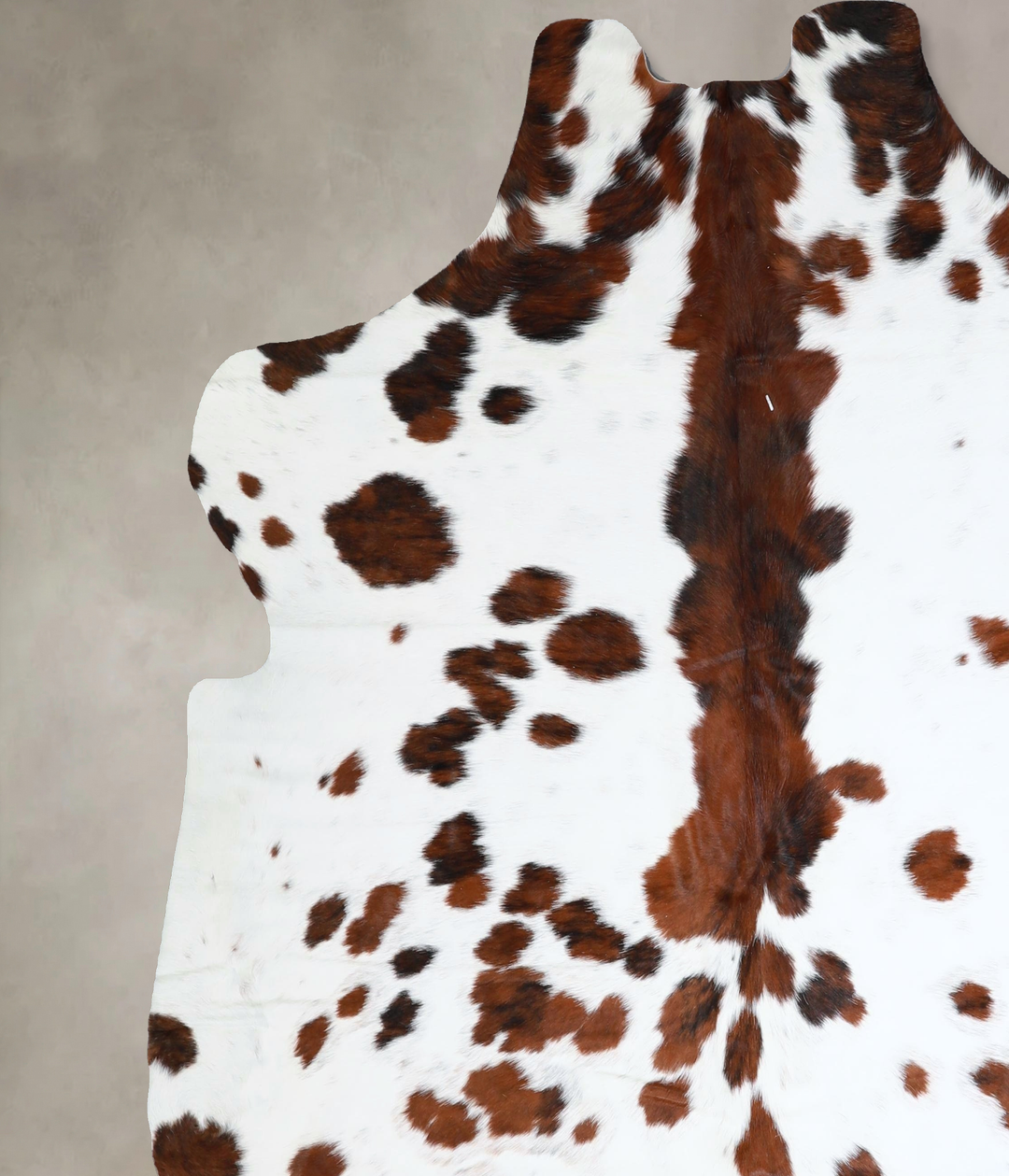 Tricolor X-Large European Cowhide Rug 7'1"H x 6'11"W #A41296 by Hudson