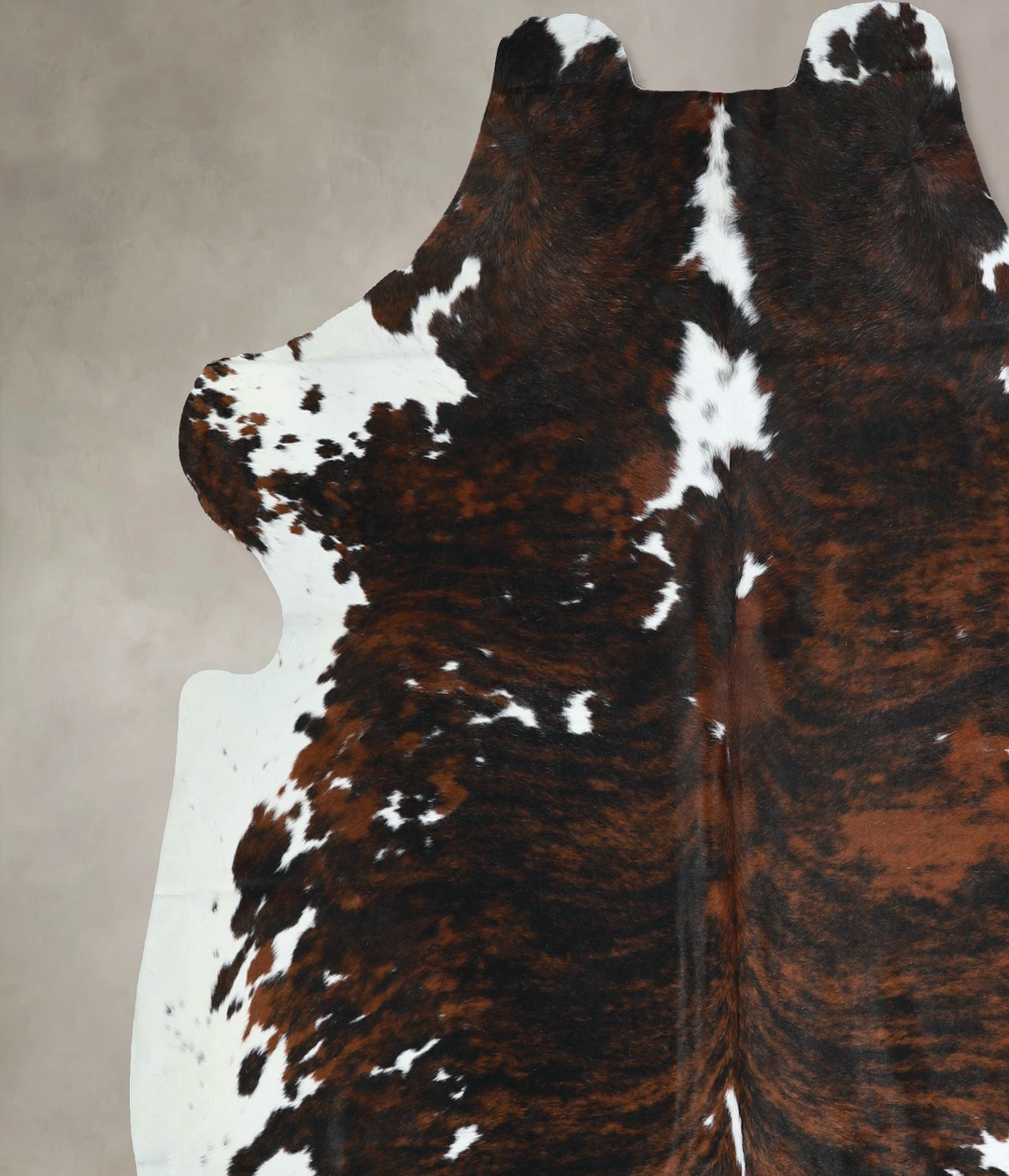 Tricolor X-Large European Cowhide Rug 7'1"H x 7'0"W #A41298 by Hudson 