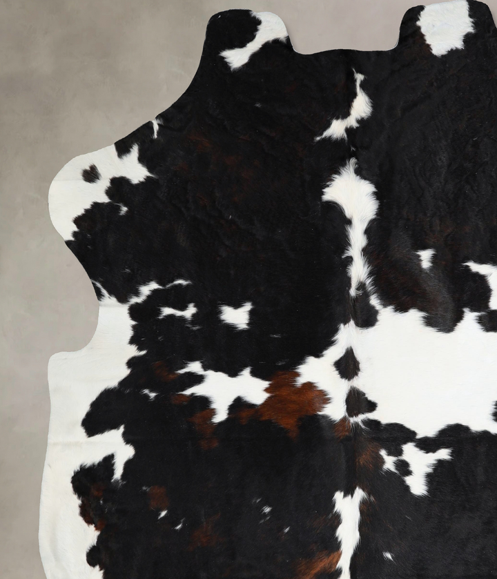 Tricolor X-Large European Cowhide Rug 6'11"H x 6'5"W #A41306 by Hudson Hides