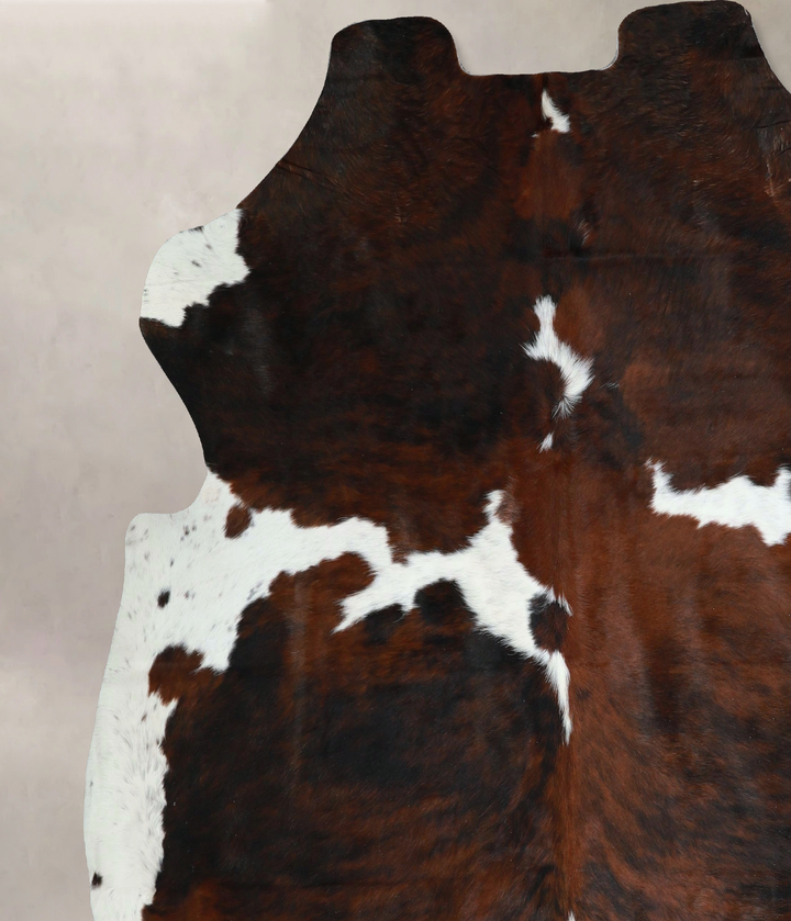 Tricolor X-Large European Cowhide Rug 7'2"H x 6'10"W #A41307 by Hudson Hides