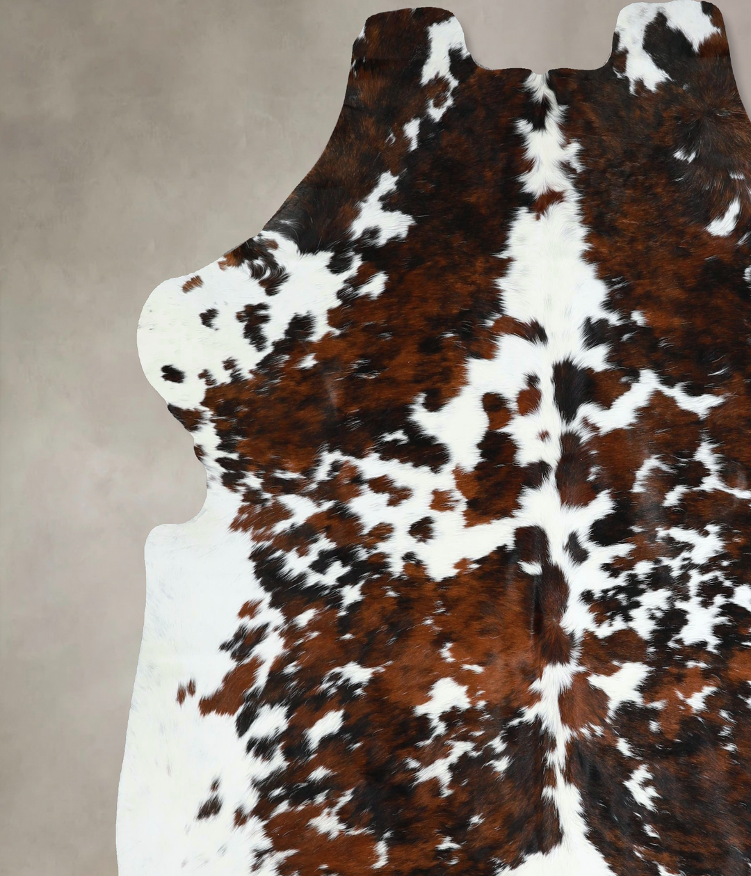 Tricolor X-Large European Cowhide Rug 7'2"H x 6'8"W #A41309 by Hudson 