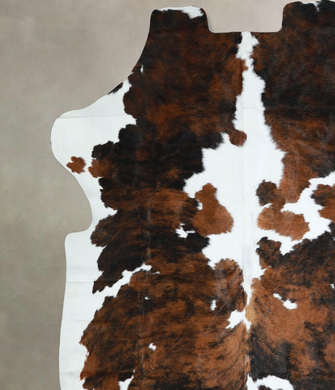 Tricolor X-Large European Cowhide Rug 6'6"H x 6'5"W #A41311 by Hudson 