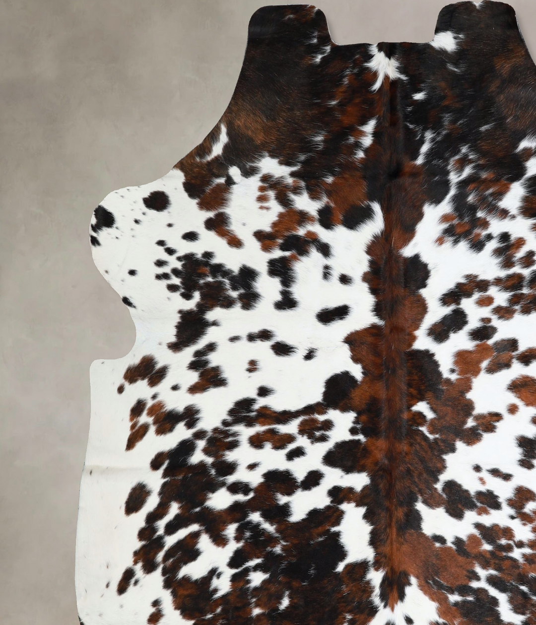 Tricolor X-Large European Cowhide Rug 6'10"H x 6'8"W #A41313 by Hudson