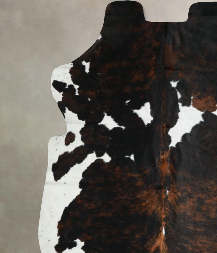Tricolor X-Large European Cowhide Rug 6'8"H x 6'2"W #A41314 by Hudson Hides