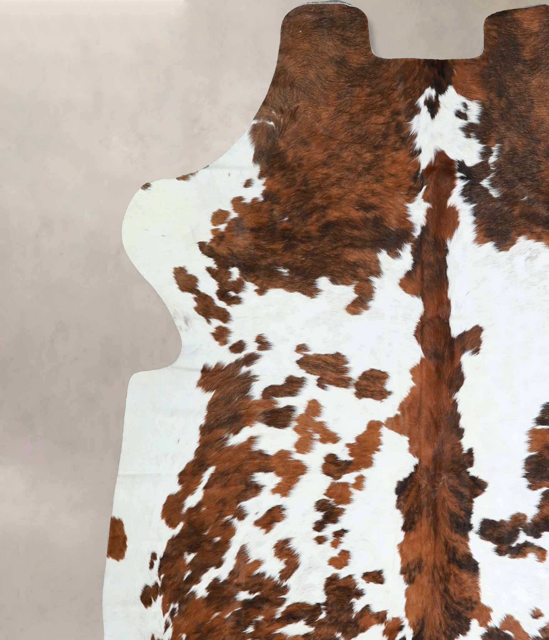 Tricolor Cowhide Rug #A41316