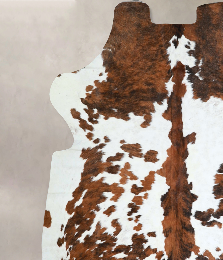Tricolor X-Large European Cowhide Rug 6'7"H x 6'4"W #A41316 by Hudson Hides