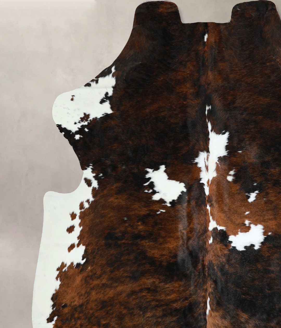 Tricolor X-Large European Cowhide Rug 6'11"H x 6'6"W #A41317 by Hudson