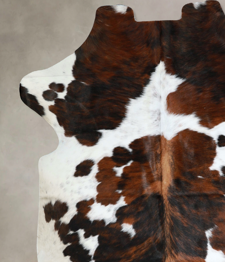 Tricolor X-Large European Cowhide Rug 6'8"H x 6'4"W #A41318 by Hudson Hides