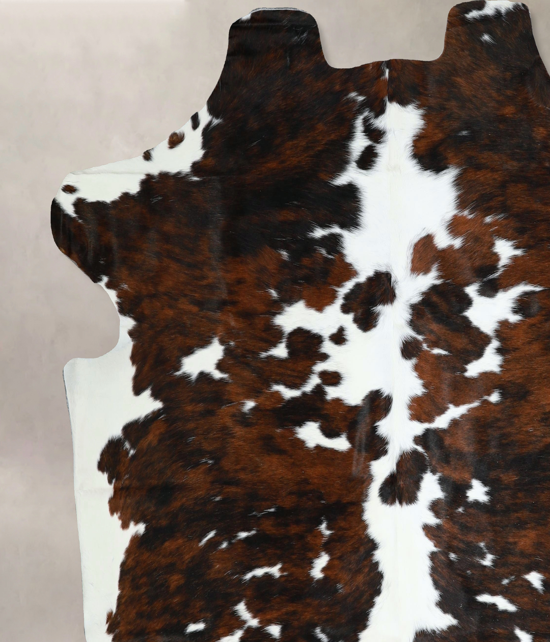 Tricolor X-Large European Cowhide Rug 6'11"H x 6'11"W #A41320 by Hudso