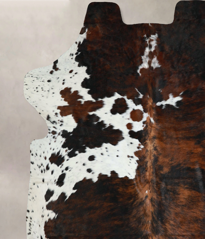 Tricolor X-Large European Cowhide Rug 7'2"H x 6'5"W #A41322 by Hudson Hides