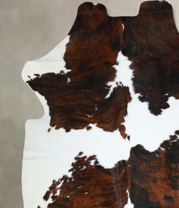 Tricolor X-Large European Cowhide Rug 7'1"H x 6'6"W #A41323 by Hudson Hides