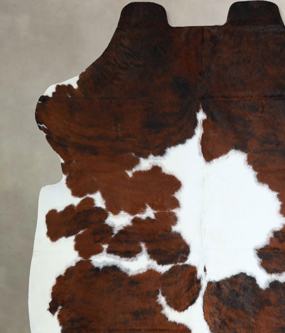 Tricolor X-Large European Cowhide Rug 7'2"H x 6'4"W #A41324 by Hudson 